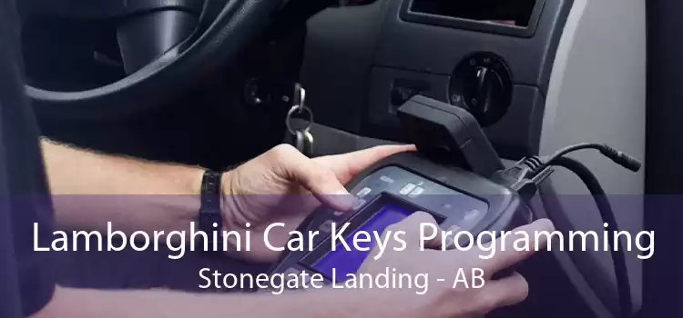 Lamborghini Car Keys Programming Stonegate Landing - AB
