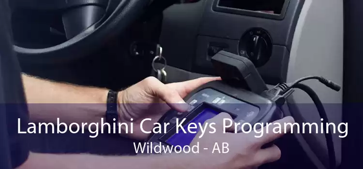 Lamborghini Car Keys Programming Wildwood - AB