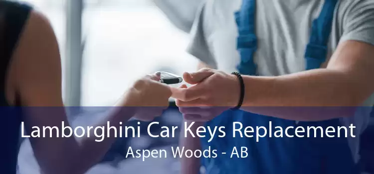 Lamborghini Car Keys Replacement Aspen Woods - AB