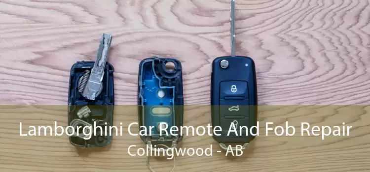 Lamborghini Car Remote And Fob Repair Collingwood - AB