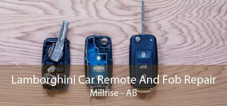 Lamborghini Car Remote And Fob Repair Millrise - AB
