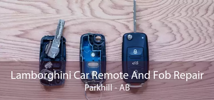 Lamborghini Car Remote And Fob Repair Parkhill - AB