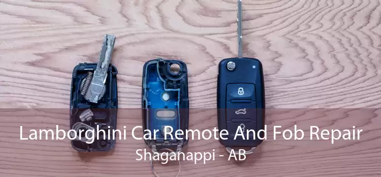 Lamborghini Car Remote And Fob Repair Shaganappi - AB