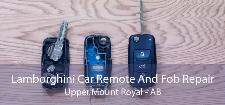 Lamborghini Car Remote And Fob Repair Upper Mount Royal - AB