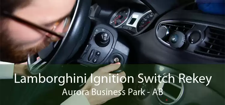 Lamborghini Ignition Switch Rekey Aurora Business Park - AB