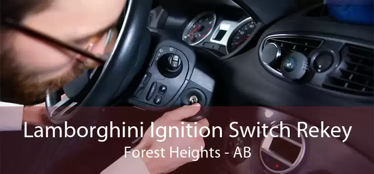 Lamborghini Ignition Switch Rekey Forest Heights - AB