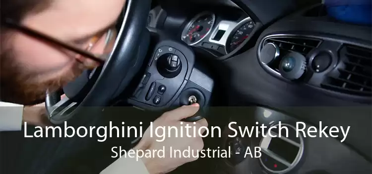 Lamborghini Ignition Switch Rekey Shepard Industrial - AB