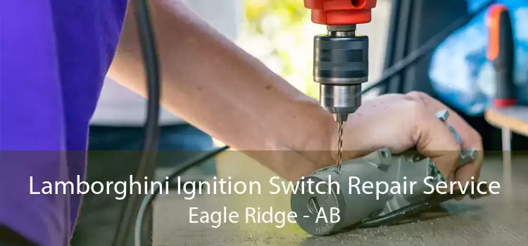 Lamborghini Ignition Switch Repair Service Eagle Ridge - AB