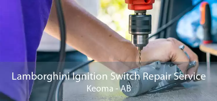 Lamborghini Ignition Switch Repair Service Keoma - AB