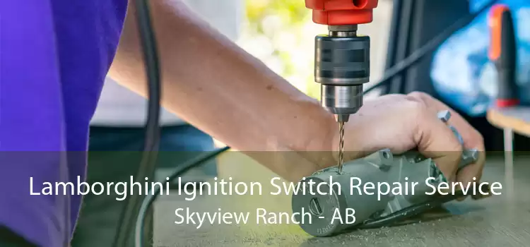Lamborghini Ignition Switch Repair Service Skyview Ranch - AB