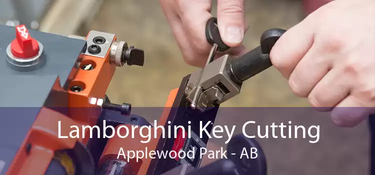 Lamborghini Key Cutting Applewood Park - AB