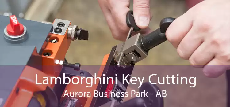 Lamborghini Key Cutting Aurora Business Park - AB