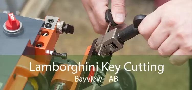 Lamborghini Key Cutting Bayview - AB