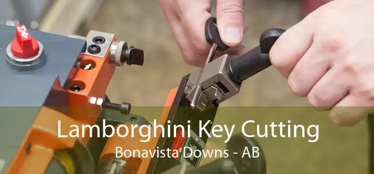 Lamborghini Key Cutting Bonavista Downs - AB