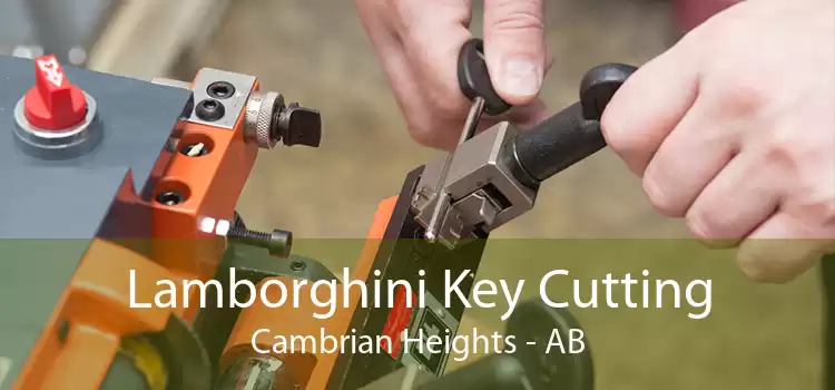 Lamborghini Key Cutting Cambrian Heights - AB