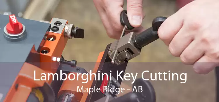 Lamborghini Key Cutting Maple Ridge - AB