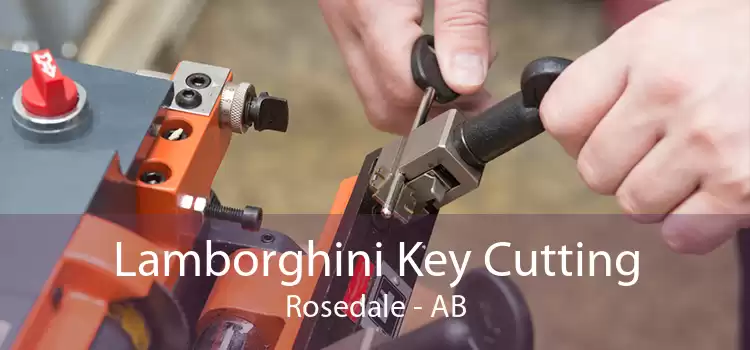 Lamborghini Key Cutting Rosedale - AB