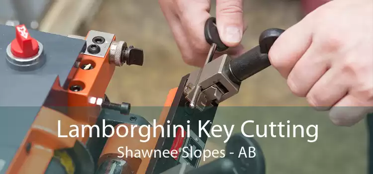Lamborghini Key Cutting Shawnee Slopes - AB