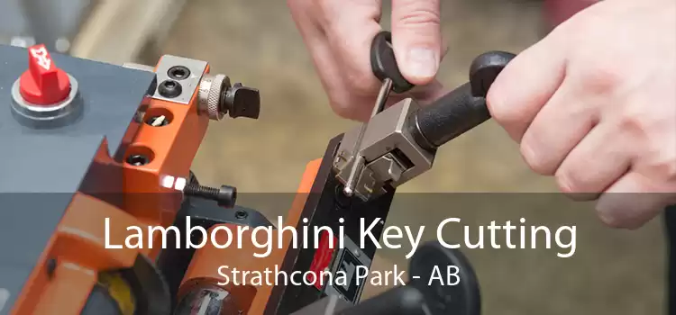 Lamborghini Key Cutting Strathcona Park - AB