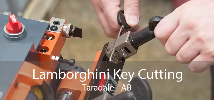 Lamborghini Key Cutting Taradale - AB