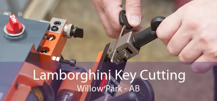 Lamborghini Key Cutting Willow Park - AB