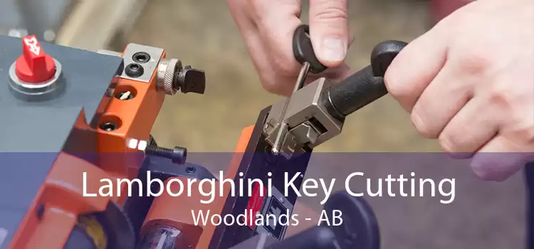Lamborghini Key Cutting Woodlands - AB