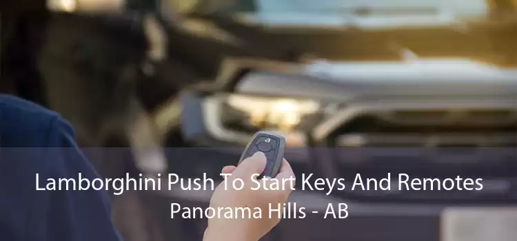 Lamborghini Push To Start Keys And Remotes Panorama Hills - AB