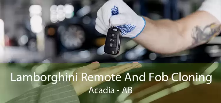 Lamborghini Remote And Fob Cloning Acadia - AB