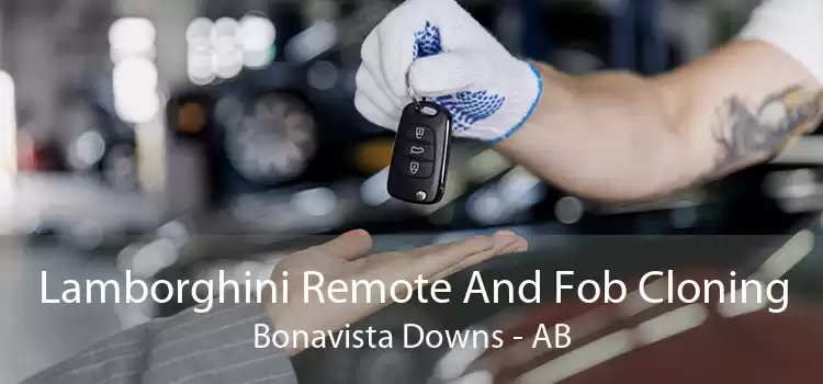 Lamborghini Remote And Fob Cloning Bonavista Downs - AB