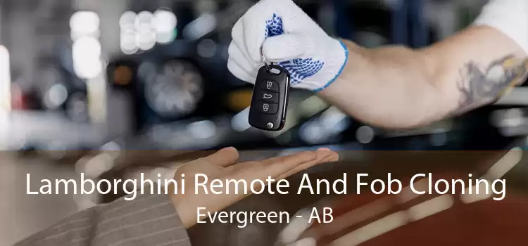 Lamborghini Remote And Fob Cloning Evergreen - AB