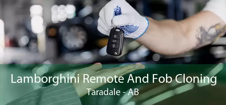 Lamborghini Remote And Fob Cloning Taradale - AB