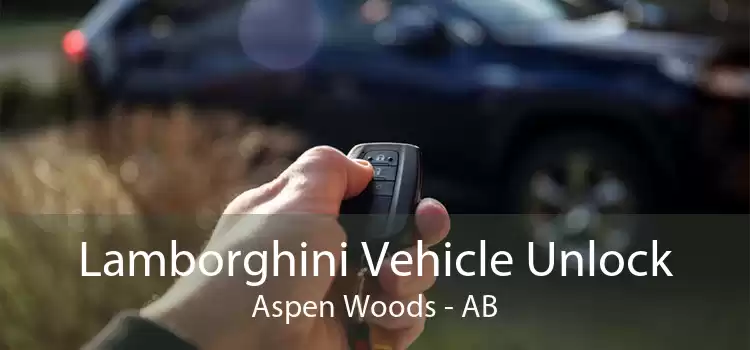 Lamborghini Vehicle Unlock Aspen Woods - AB