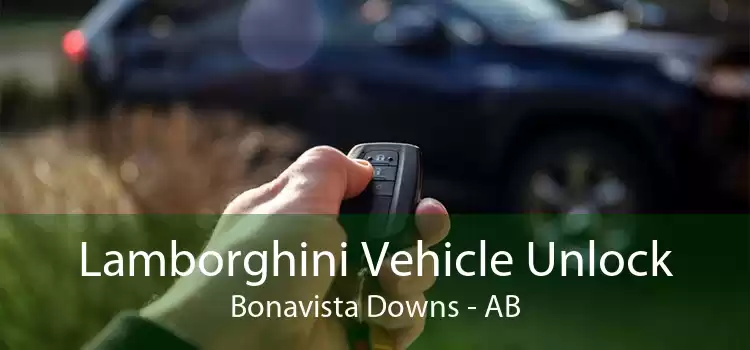 Lamborghini Vehicle Unlock Bonavista Downs - AB