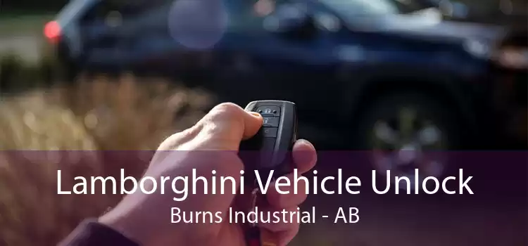 Lamborghini Vehicle Unlock Burns Industrial - AB