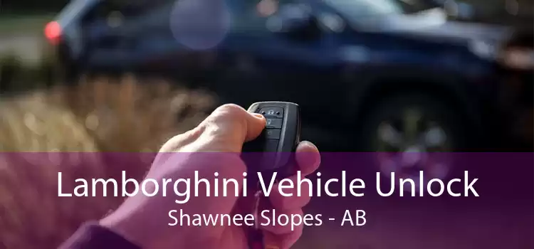 Lamborghini Vehicle Unlock Shawnee Slopes - AB