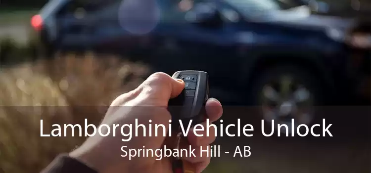 Lamborghini Vehicle Unlock Springbank Hill - AB