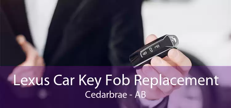 Lexus Car Key Fob Replacement Cedarbrae - AB