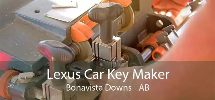 Lexus Car Key Maker Bonavista Downs - AB