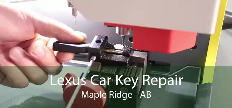 Lexus Car Key Repair Maple Ridge - AB