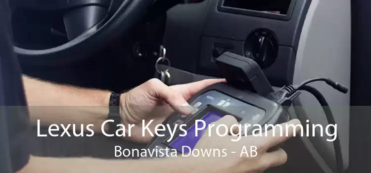 Lexus Car Keys Programming Bonavista Downs - AB