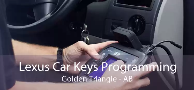 Lexus Car Keys Programming Golden Triangle - AB