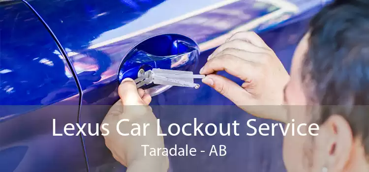 Lexus Car Lockout Service Taradale - AB