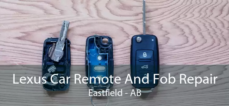 Lexus Car Remote And Fob Repair Eastfield - AB
