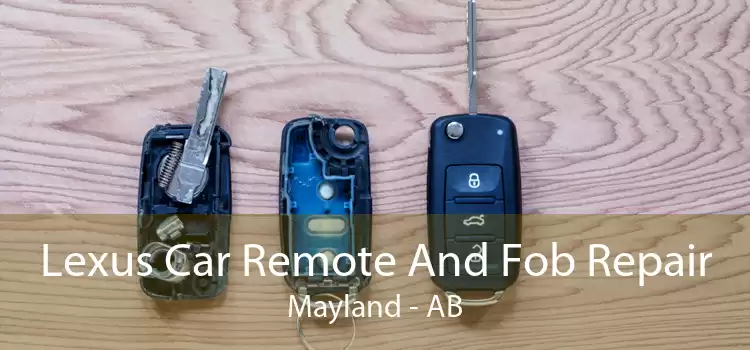 Lexus Car Remote And Fob Repair Mayland - AB