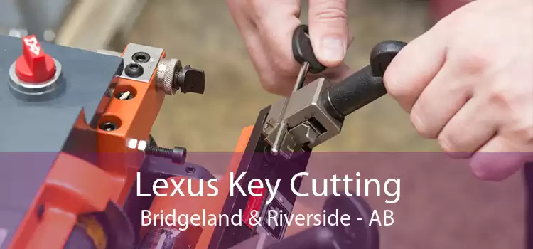 Lexus Key Cutting Bridgeland & Riverside - AB