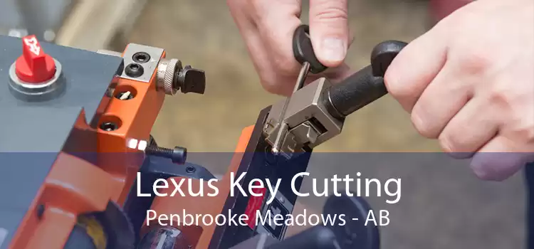 Lexus Key Cutting Penbrooke Meadows - AB