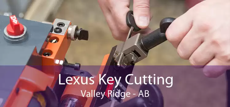 Lexus Key Cutting Valley Ridge - AB