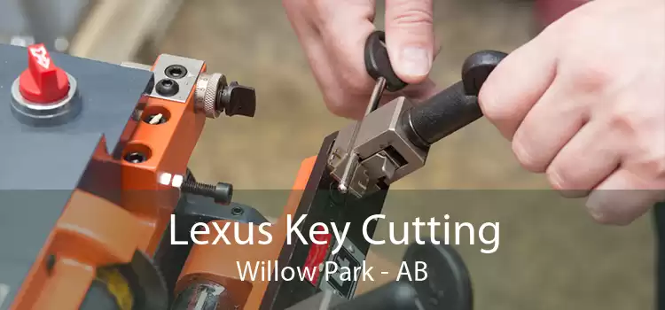 Lexus Key Cutting Willow Park - AB