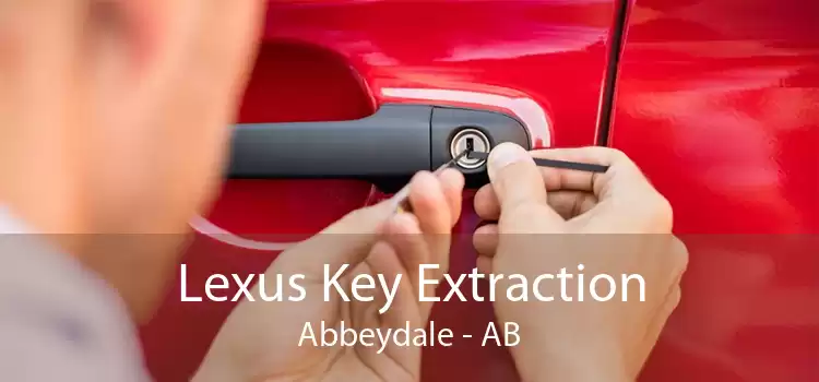 Lexus Key Extraction Abbeydale - AB