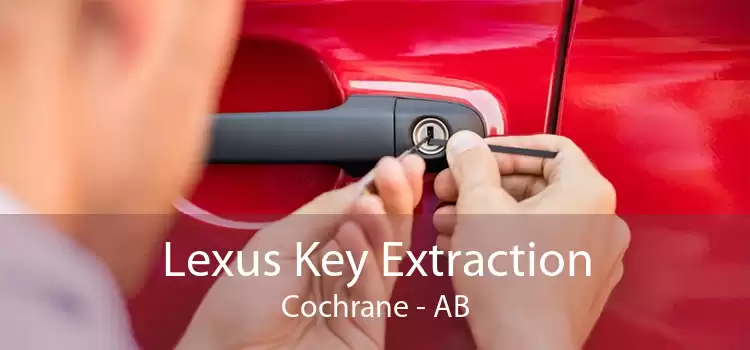 Lexus Key Extraction Cochrane - AB
